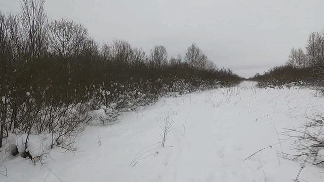 Охота с Добычем 21.01.2026 смотреть онлайн