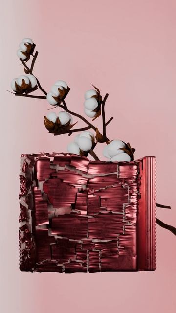 Второй ролик