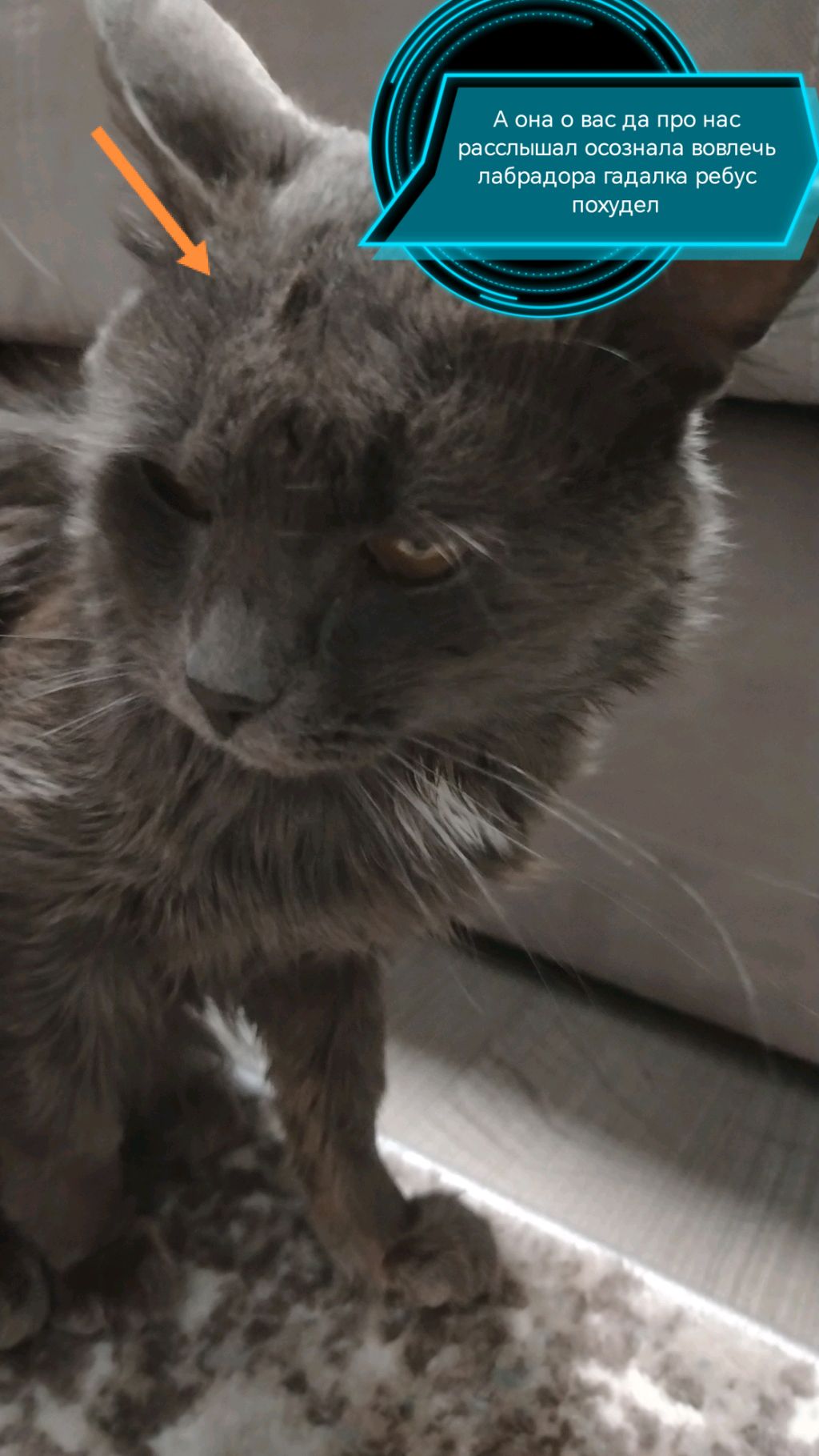 Я не знаю просто как ты там в этом мире живёшь и как ты там с этим человеком в самом начале пути и смотреть онлайн