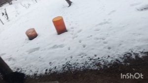 Хотел глянуть пару ,а посмотрел всех.