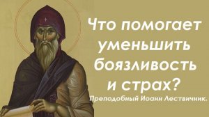 Основные причины боязливости и страха. Преподобный Иоанн Лествичник.