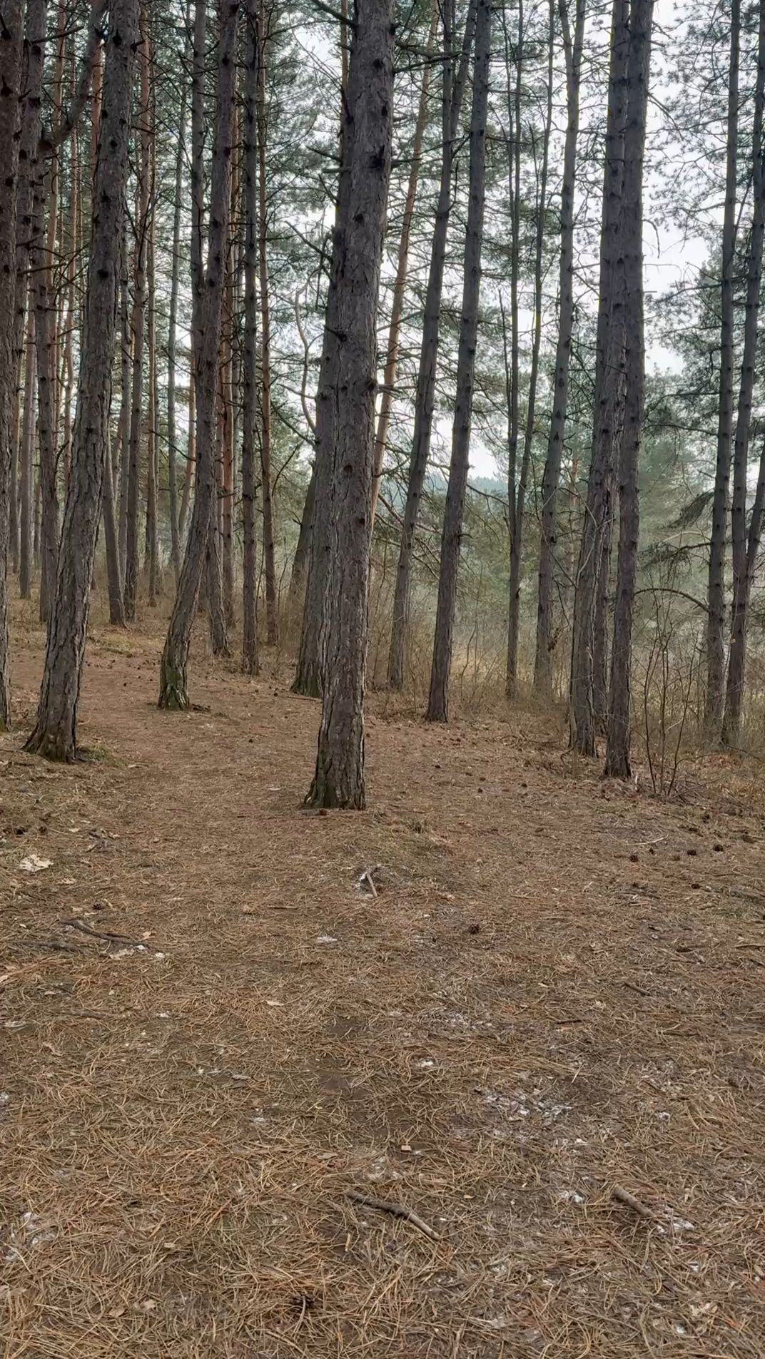 Тихие чудеса - что дарит нам прогулка в Кисловодском парке