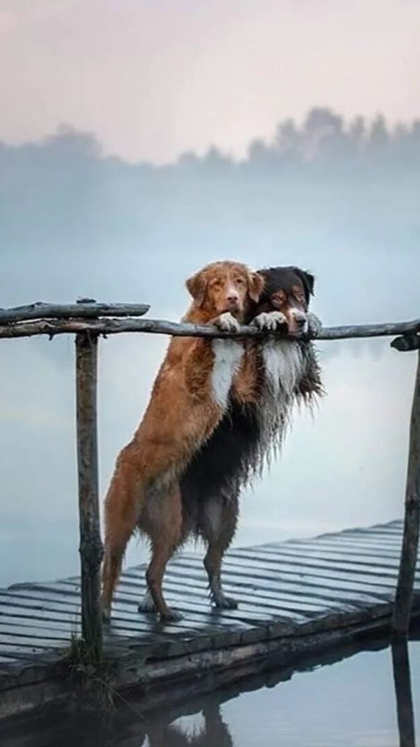 Течение памяти. смотреть онлайн