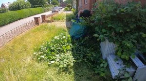 Уборка заросшего маленького палисадника