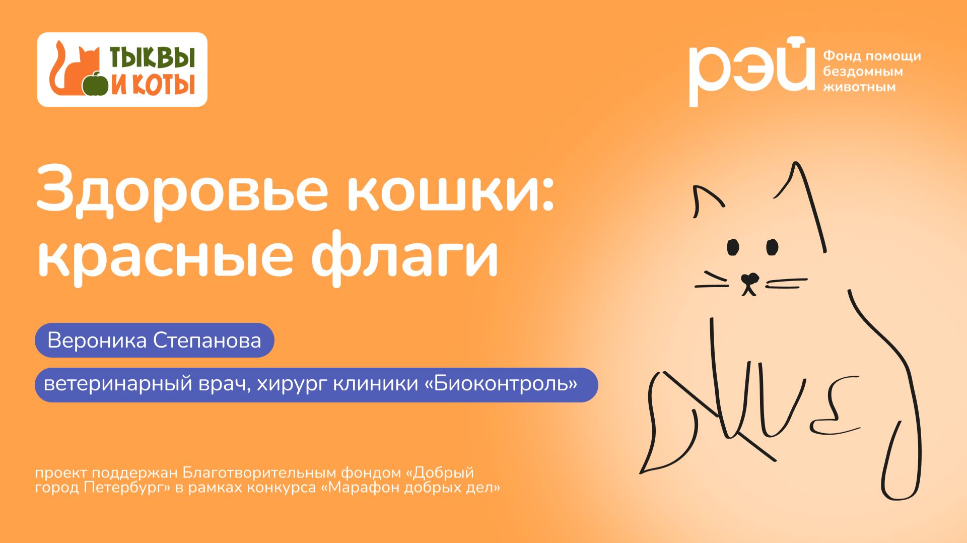 Здоровье кошки: красные флаги смотреть онлайн