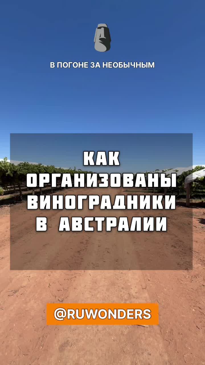 Виноградники австралии смотреть онлайн