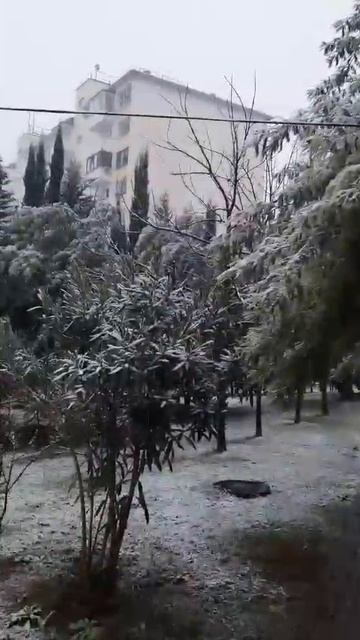 Погода разгулялась! Оставит нас без мимозы?.. Как думаете? смотреть онлайн