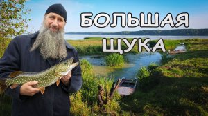 Большая щука