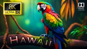 Гавайи 8K Ultra HD [60FPS] Dolby Vision | Hawaii 8K HDR
