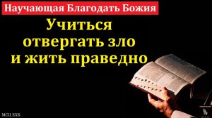 "Научающая Благодать Божия". Я. И. Фризен. МСЦ ЕХБ