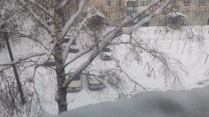 Зима за окном