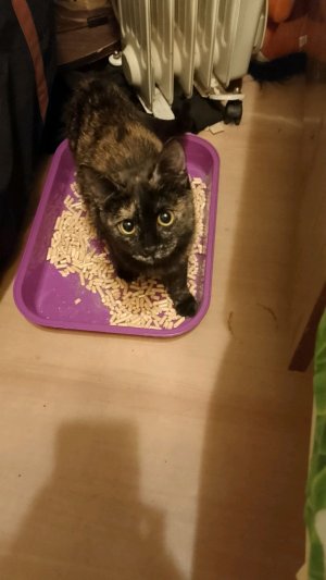 всем привет! играю:мс.flatemine.suник:Masia69