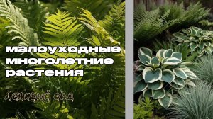 Ленивый сад, малоуходные растения ☘️ Природа 71