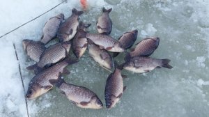 РЫБАЛКА НА ТЯГУ ЕДЕМ ИСКАТЬ РЫБУ