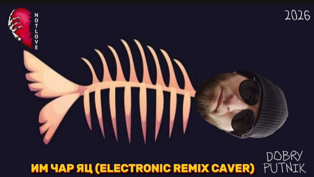 NOT LOVE - ИМ ЧАР ЯЦ(ELECTRONIC REMIX CAVER)