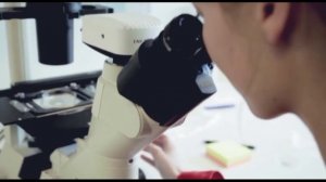 Фильм о клетках, Вертера гель, Технология и Производство.