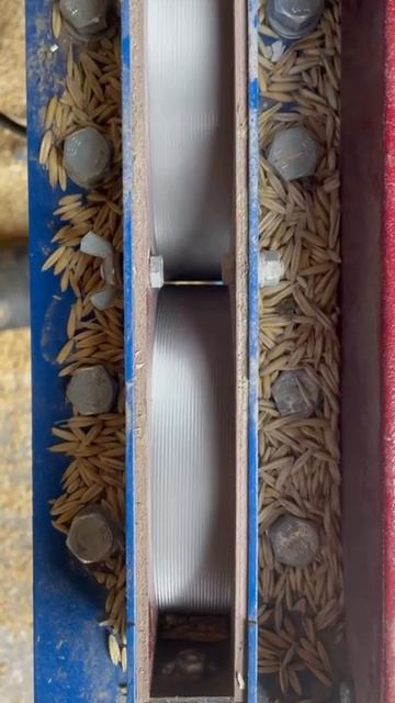 Видео работы вальцов плющилки зерна АПЗ -03М