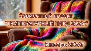 СП «Температурный плед с Катериной Шурм" 2026 / январь / участник 40