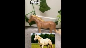 ОБЗОР НА ЛОШАДЕЙ🐎(первое видео ❤️)