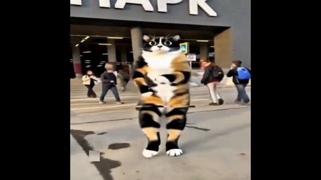 майнкрафт кот эдит смотреть онлайн