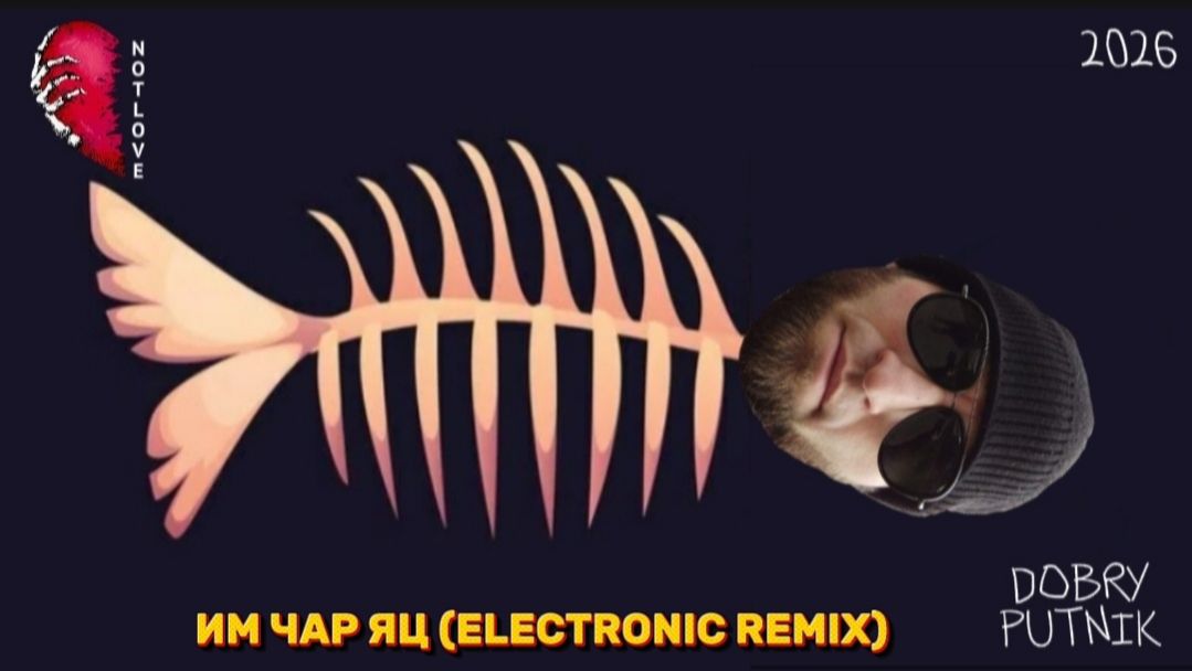 NOT LOVE - ИМ ЧАР ЯЦ (ELECTRONIC REMIX)