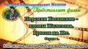 Персики Хасанские - клоны Железова. Бросок на Юг. Серия 1.