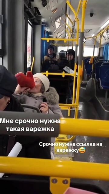 Женщину с самой крутой варежкой заметили в автобусе. смотреть онлайн