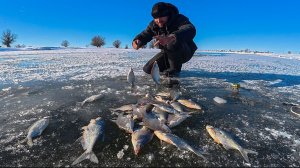 АСТРАХАНЬ В ДЕЛЕ! ПЕРВЫЙ ЛЁД И ДИКИЙ ЖОР МИРНОЙ РЫБЫ НА ДОНКИ! Душевная зимняя рыбалка.