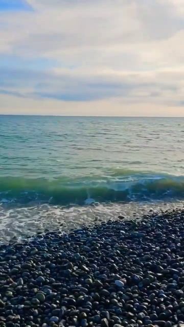 22.01.2026 г Море, я скучаю #море смотреть онлайн