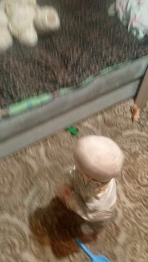 ненасытный кролик