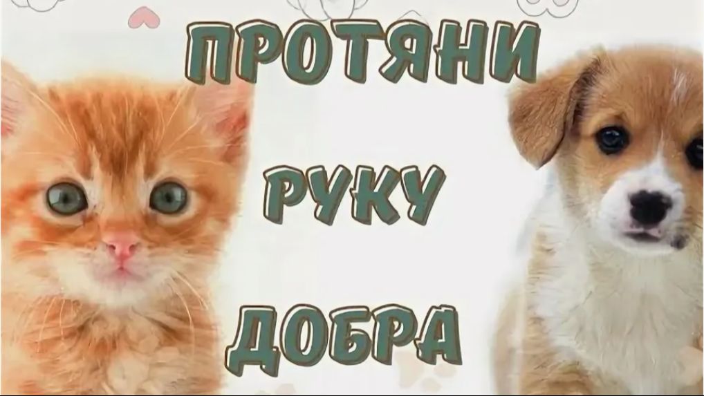 Благотворительный концерт "Протяни руку добра"-2024 год