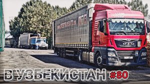 ЕДУ В УЗБЕКИСТАН | ГРАНИЦА КАЗАХСТАН - УЗБЕКИСТАН | ВЫГРУЗКА В ТАШКЕНТЕ | БЕЛАРУС ДАЛЬНОБОЙ #80