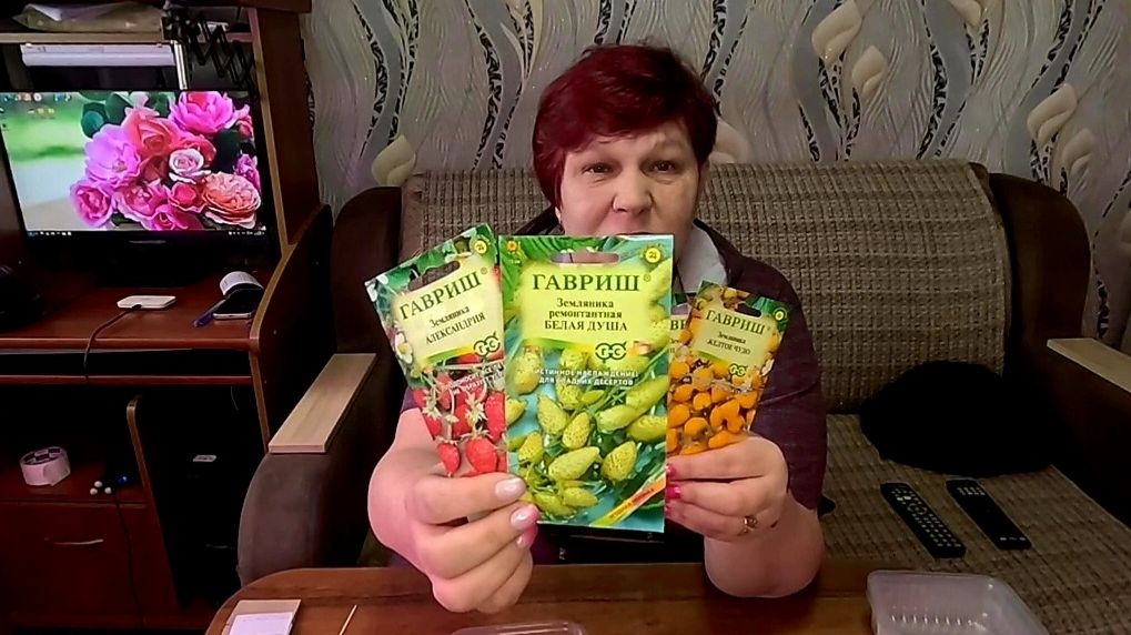 ❗ОБЯЗАТЕЛЬНО обратите ВНИМАНИЕ на это при ПОСЕВЕ ЗЕМЛЯНИКИ!!