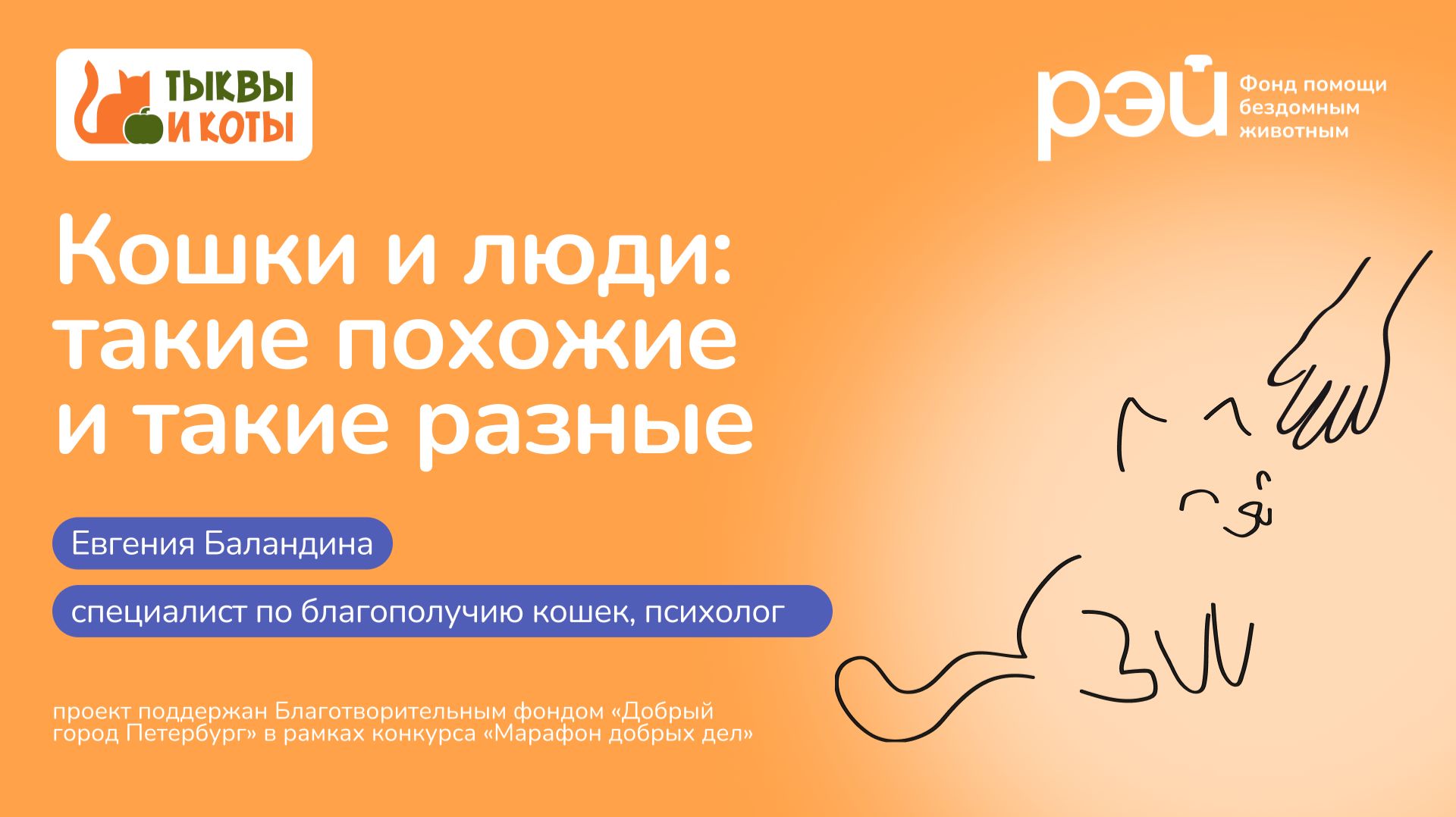 Кошки и люди: такие похожие и такие разные смотреть онлайн