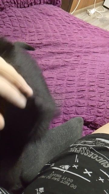 котик смотреть онлайн