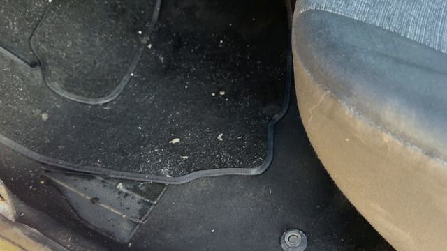 IMG_2915 смотреть онлайн