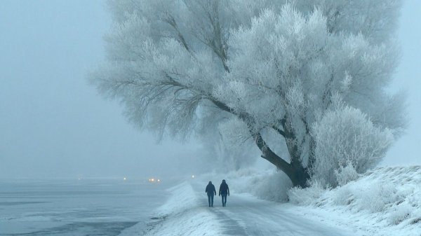 Мороз (стихи мои, остальное с помощью ИИ)