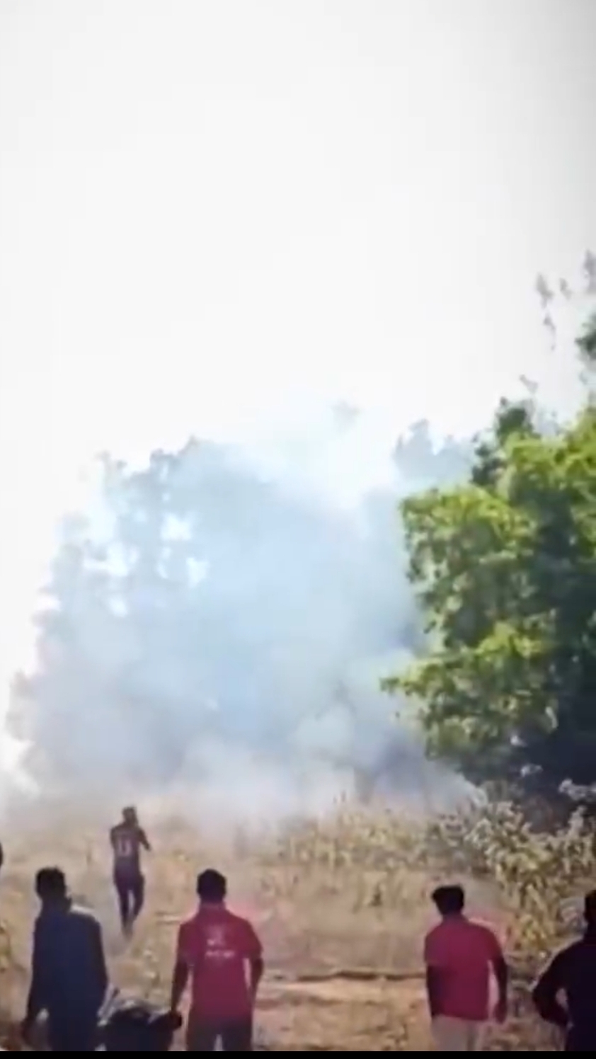 Слон-убийца бушует в Индии — за 10 дней он убил уже 22 человека