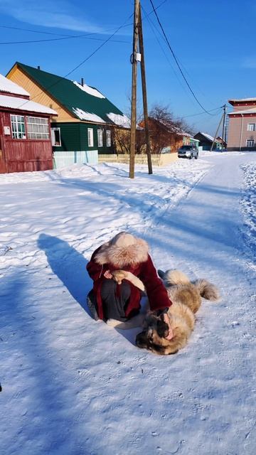 Это не просто собака — что Марьяна почувствовала смотреть онлайн