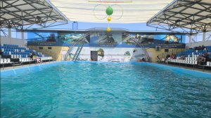 Дельфинарий СТаница Голубицкая Краснодарский край 2025