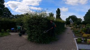 СТРИЖКА живой изгороди из БУКА на территории КЛАДБИЩА с ЧАСОВНЕЙ