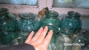 Жизнь аборигенки. Убрала снег. Мои огурцы 🥒