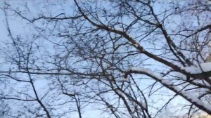 Мой школьный день! Собираю рюкзак, Понка делает дз! 🎒📚