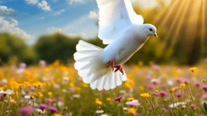 Развернись в вираже | Песни для души | Хорошие песни