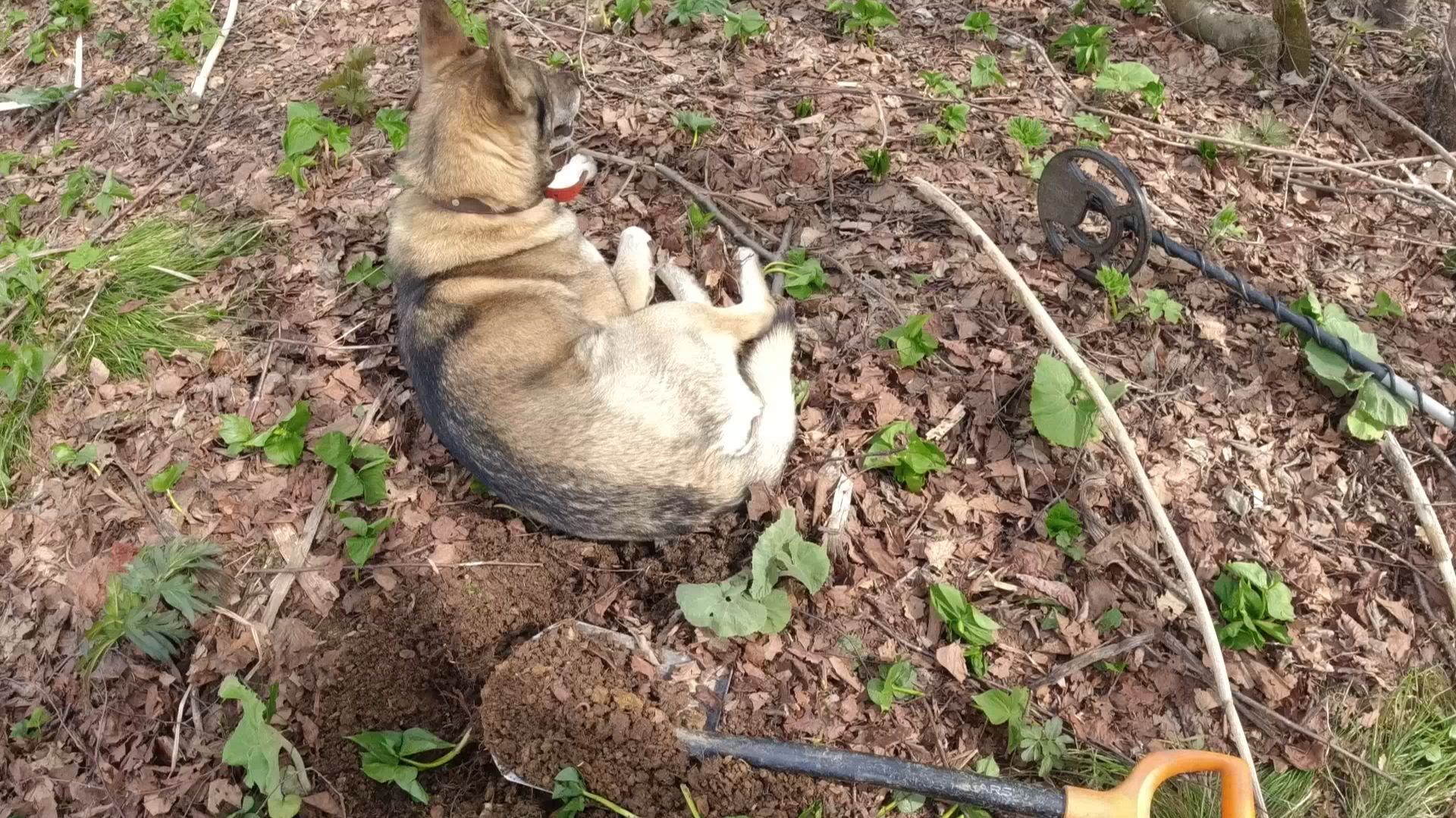 Снова на базу геологов добирать находки .Металл.Дорога болото. смотреть онлайн