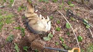 Снова на базу геологов добирать находки .Металл.Дорога болото.