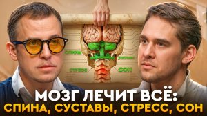 Мозг как ключ к восстановлению тела и нервной системы. Современный подход к лечению.