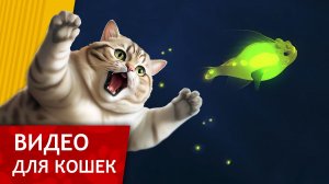 Видео для кошек - Волшебная рыбка заворожит твоего кота! (Развлеки своего кота)