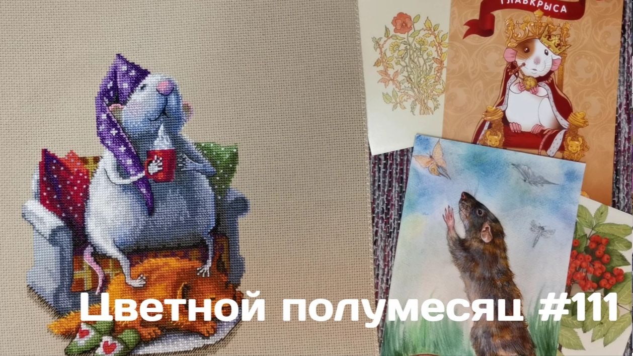 Цветной полумесяц 111//08.01.25-21.01.26. РТО, Makaronka, Dimensions, Жар-Птица. И горстка стартов