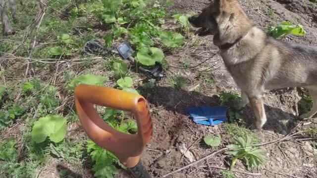 Дочищаю территорию геологов,нашёл триангуляционную точку высоты смотреть онлайн